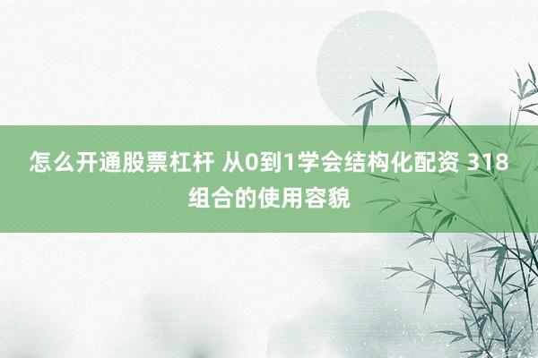怎么开通股票杠杆 从0到1学会结构化配资 318组合的使用容貌